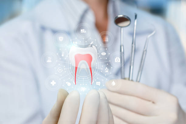 Best Root Canal Treatment  in Fellsmere, FL
